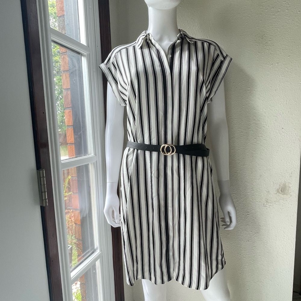 Express striped button down dress